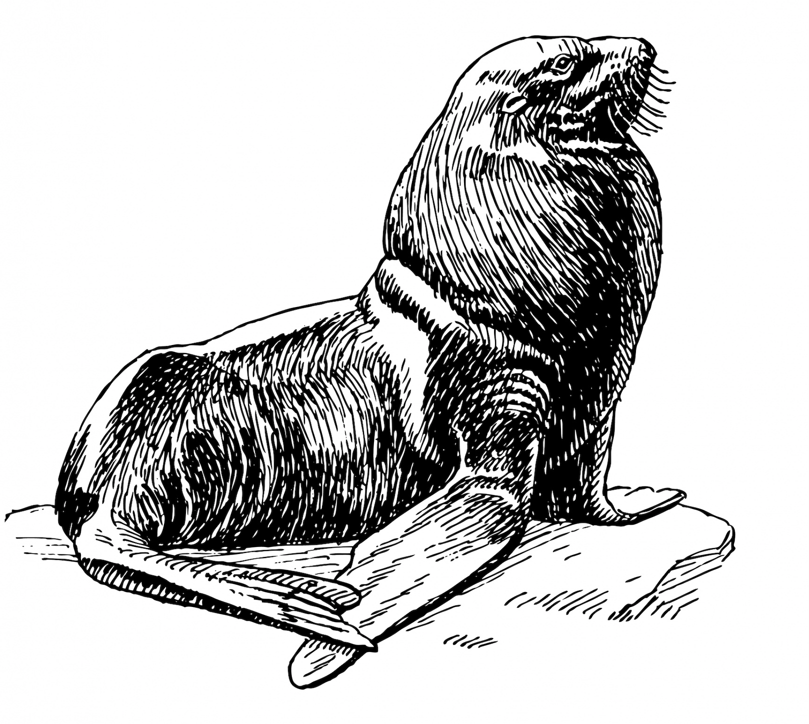 Sealion AI
